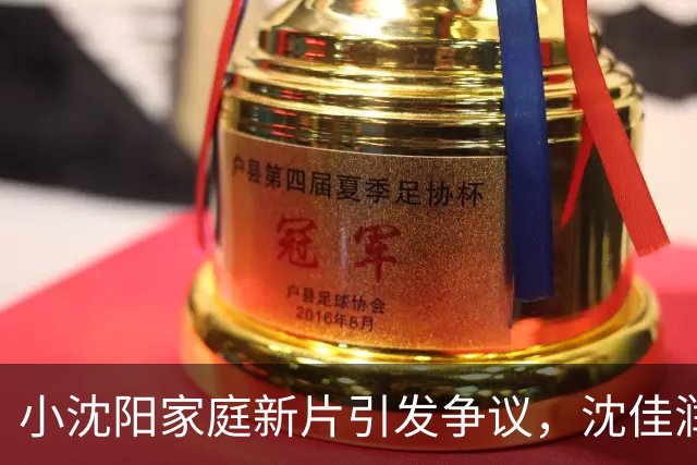 小沈阳家庭新片引发争议，沈佳润成焦点