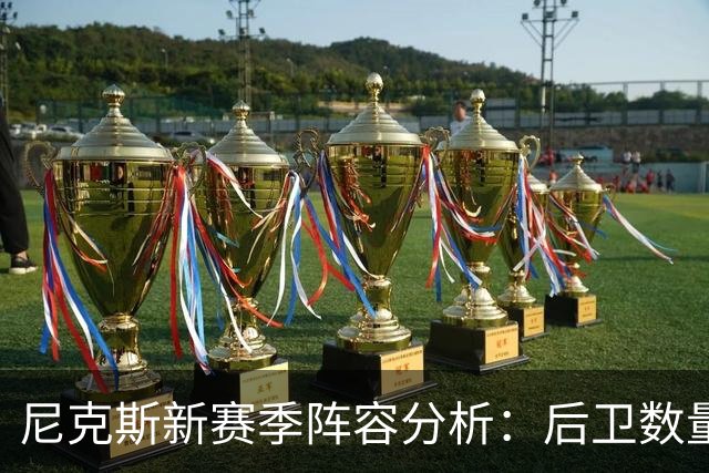 尼克斯新赛季阵容分析：后卫数量激增，中锋仅两人
